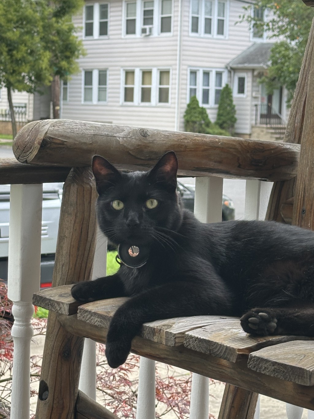 To Smoke or Not To&nbsp;Smoke?