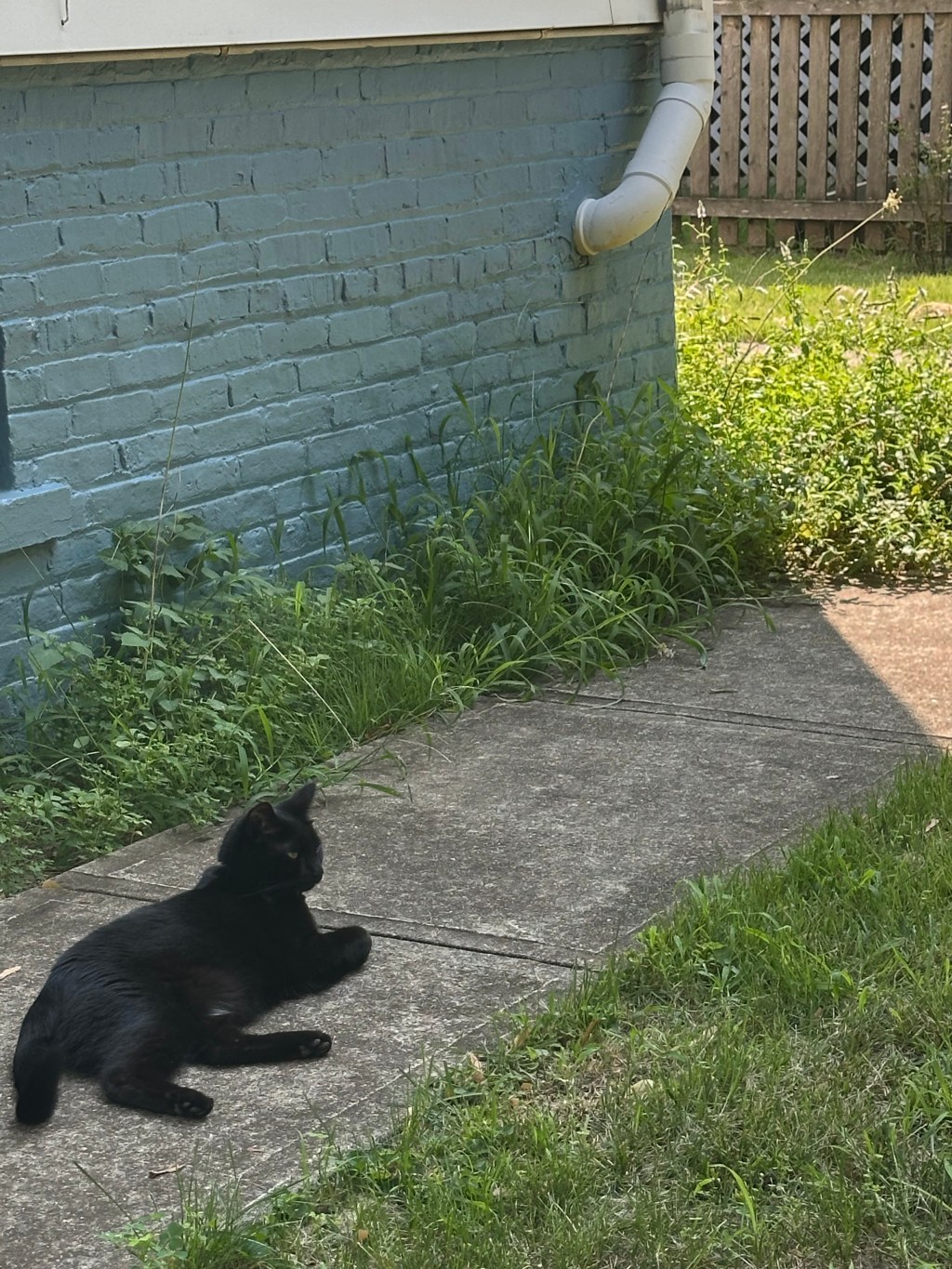 Oh, To Live In The&nbsp;Moment